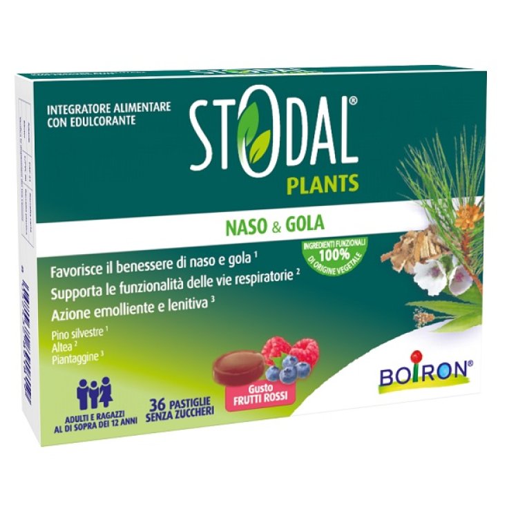 STODAL Plants 36 Past.Fr.Rossi STODAL Plants 36 Past.Fr.Rossi