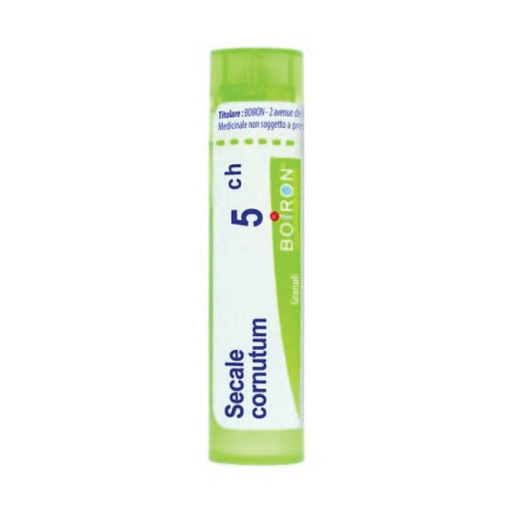 BO.SECALE CORN.Tubo  5CH