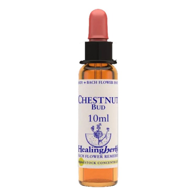 CHESTNUT Ess.10ml NATUR