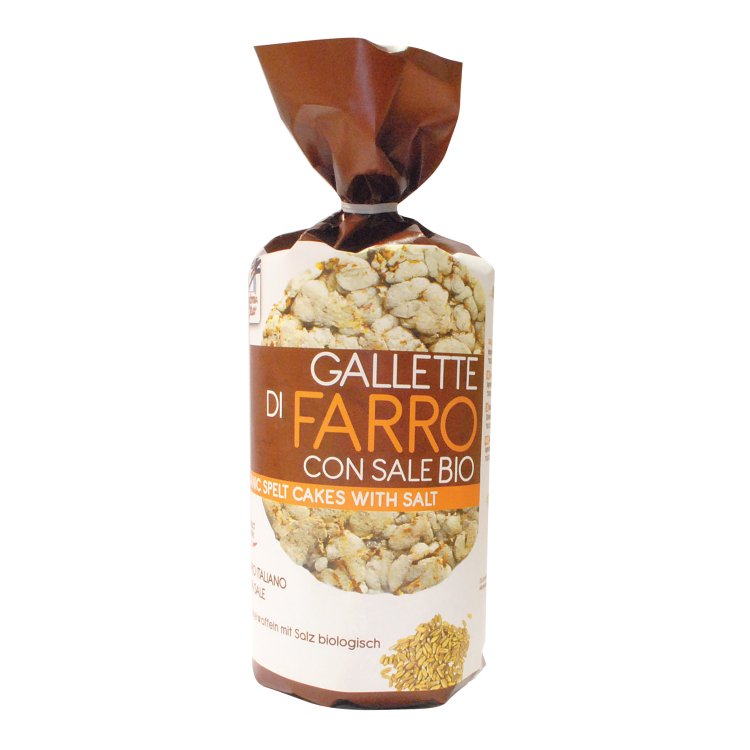 FsC Gallette Farro C/Sale 100g