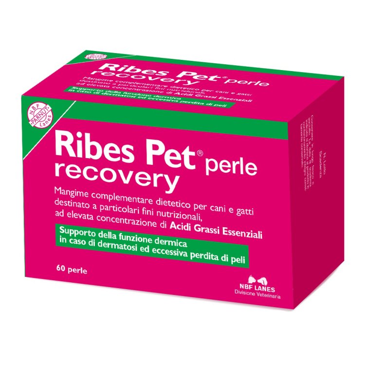 RIBES PET Recovery 60 Perle