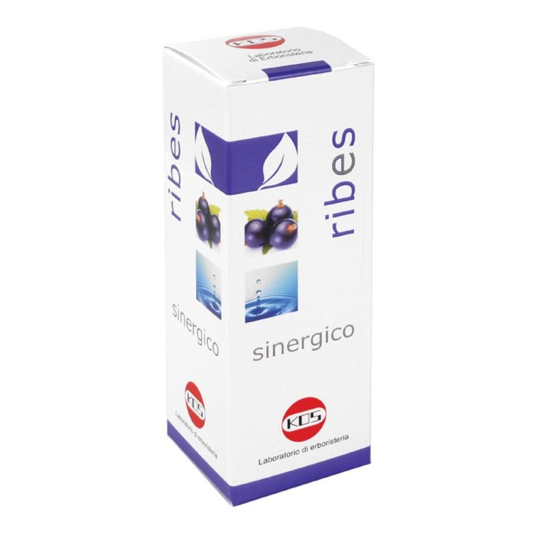 RIBES SINERGICO 100ml KOS