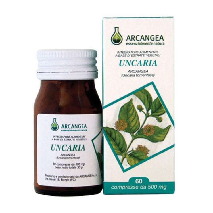 UNCARIA 60 Capsule 500mg ACN