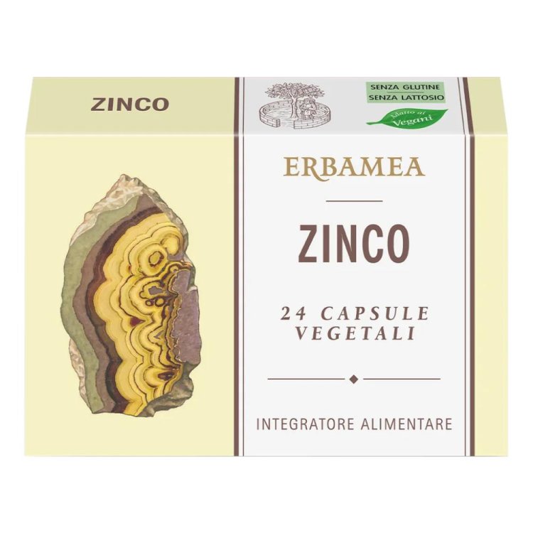 ZINCO 24 Capsule Veg.EBM