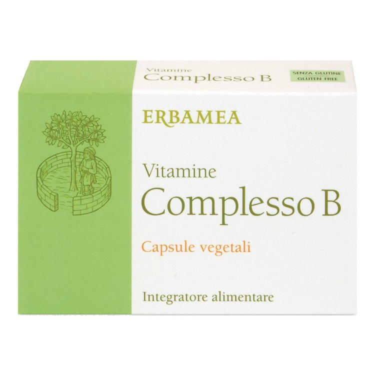 VITAMINE Compl.B 24 Capsule EBM