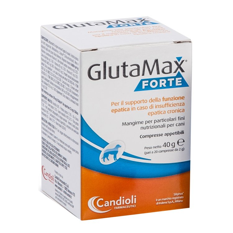 GLUTAMAX Forte 40 Compresse
