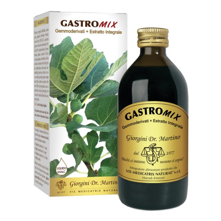 GASTROMIX Liq.Analc.200ml SVS