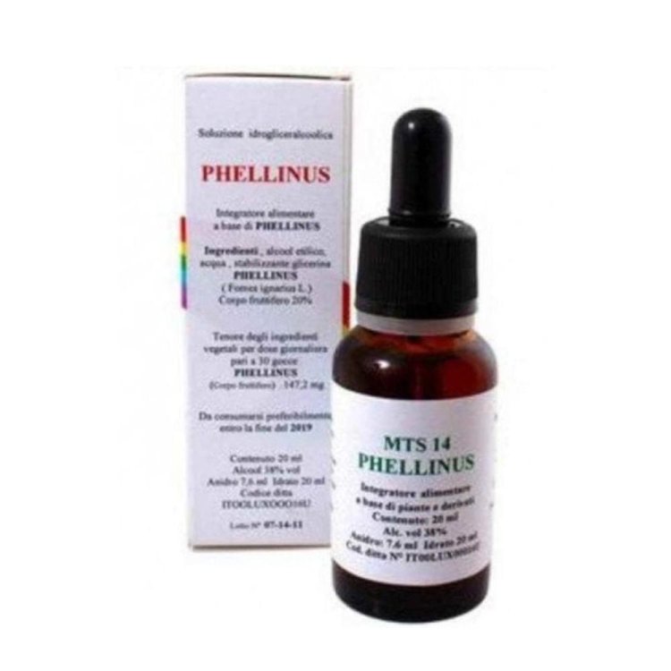 MTS14 PHELLINUS Gocce 20ml