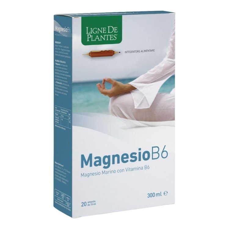 MAGNESIO B6 20AB 15ml N-S