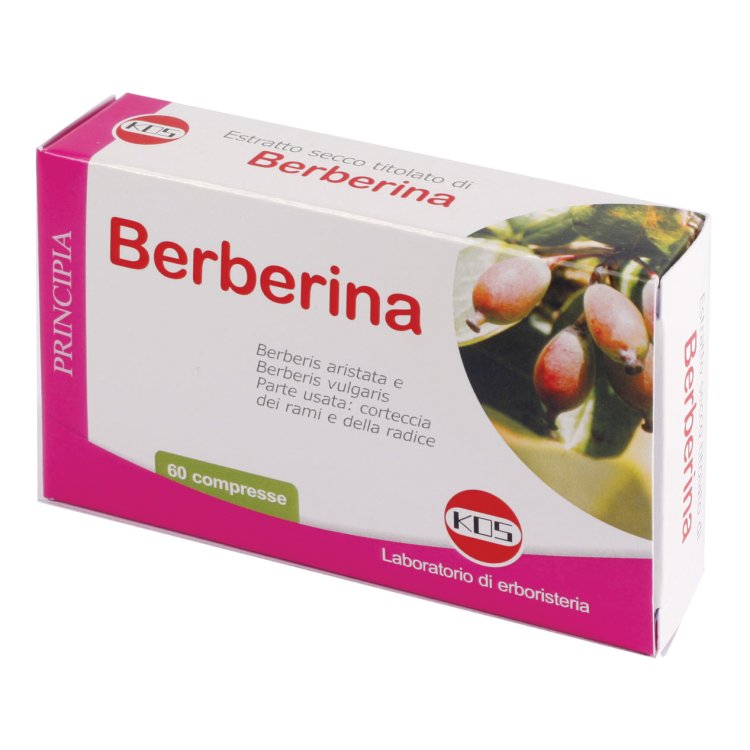 BERBERINA 60 Compresse 27 g