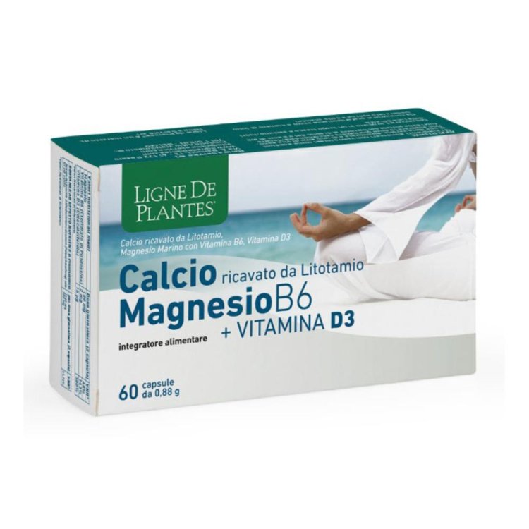 CALCIO/MG B6+Vit.D3 60 Capsule NSE CALCIO/MG B6+Vit.D3 60 Capsule NSE