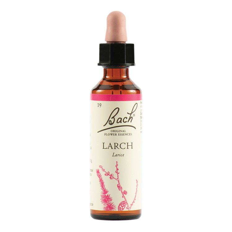 BACH 19 Larch Gocce 20ml