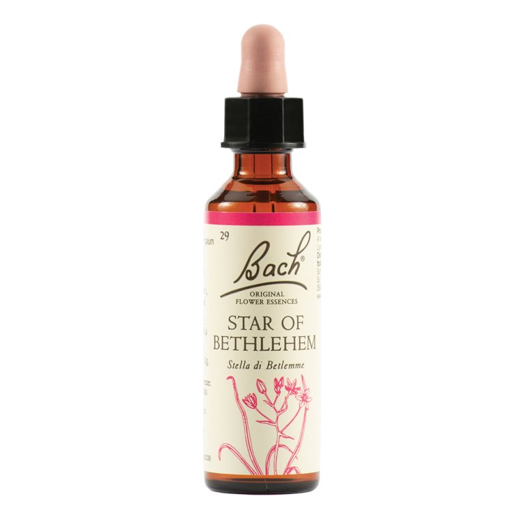 BACH Rock Rose 20ml