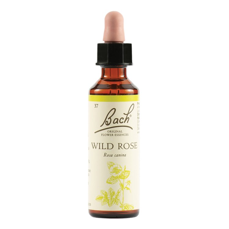 BACH 37 ROSE 20ml