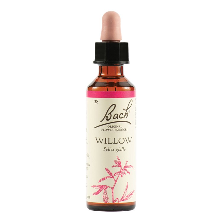 WILLOW BACH ORIG 38 20ml