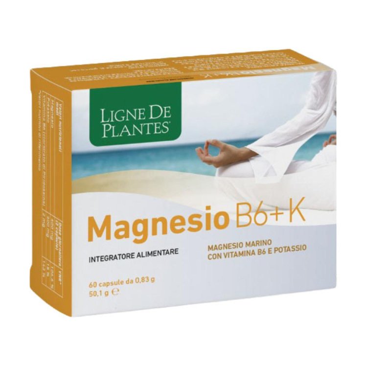 MAGNESIO B6 + K 60CPS
