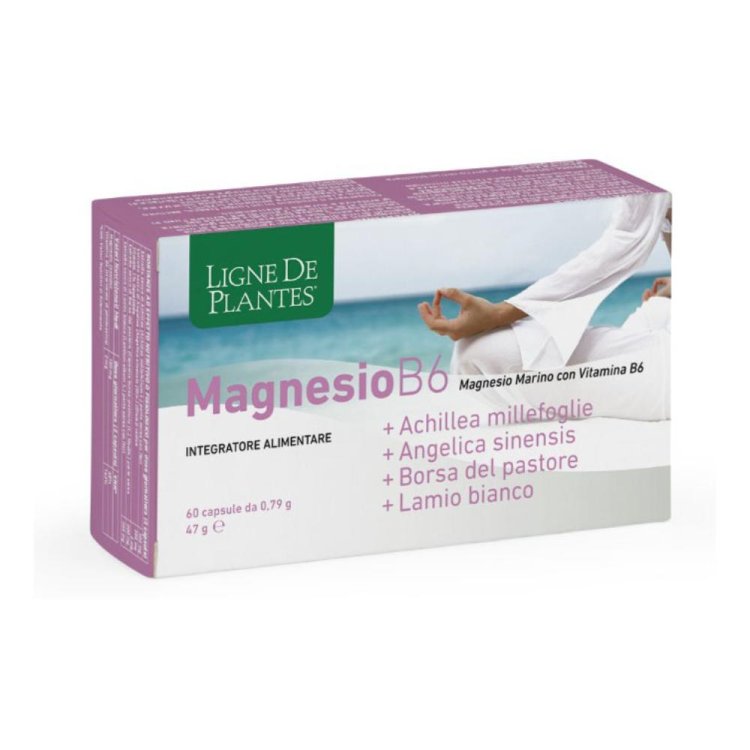 LIGNE MG B6+ACH+ANG+PAST+LAM LIGNE MG B6+ACH+ANG+PAST+LAM