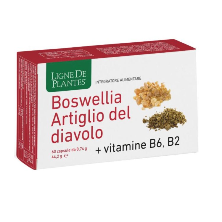 BOSWELLIA Art.Diavolo 60CpsNSE BOSWELLIA Art.Diavolo 60CpsNSE