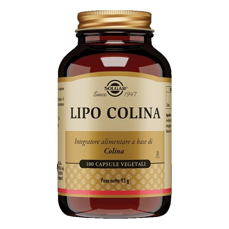 LIPO COLINA 100 Cps 100mgSOLGA