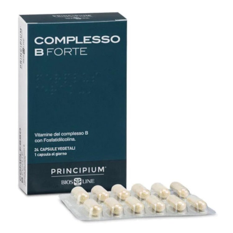 PRINCIPIUM Compl.B Fte 24 Cps.