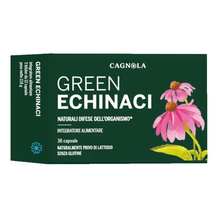 GREEN ECHINACI 36CPS CGN