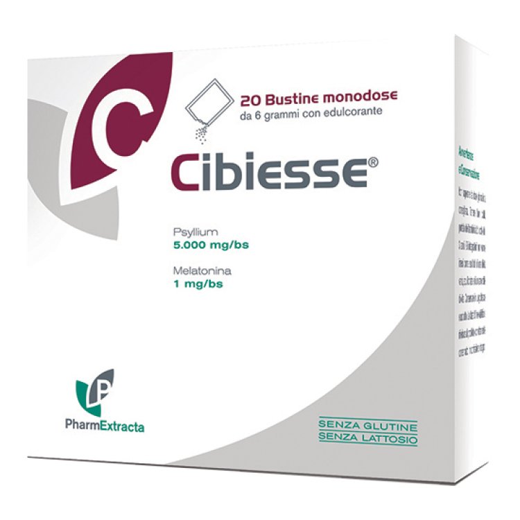 CIBIESSE 20 Bust.