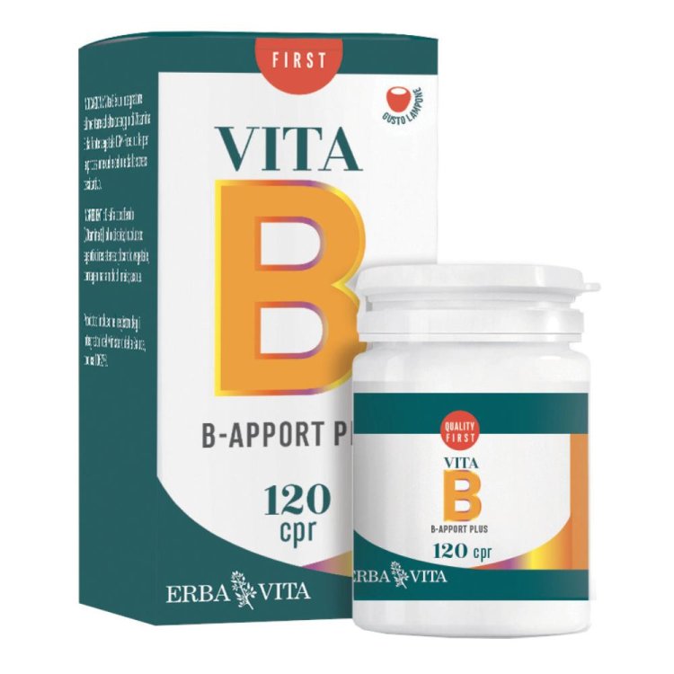 B-APPORT Vit.B12 120Cpr OroEBV