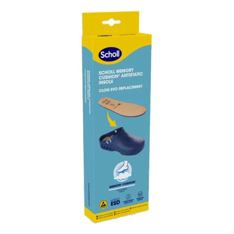 CLOG EVO Soletta A-Static35/36