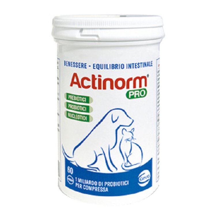 ACTINORM PRO 60 Compresse Cani/Gatti