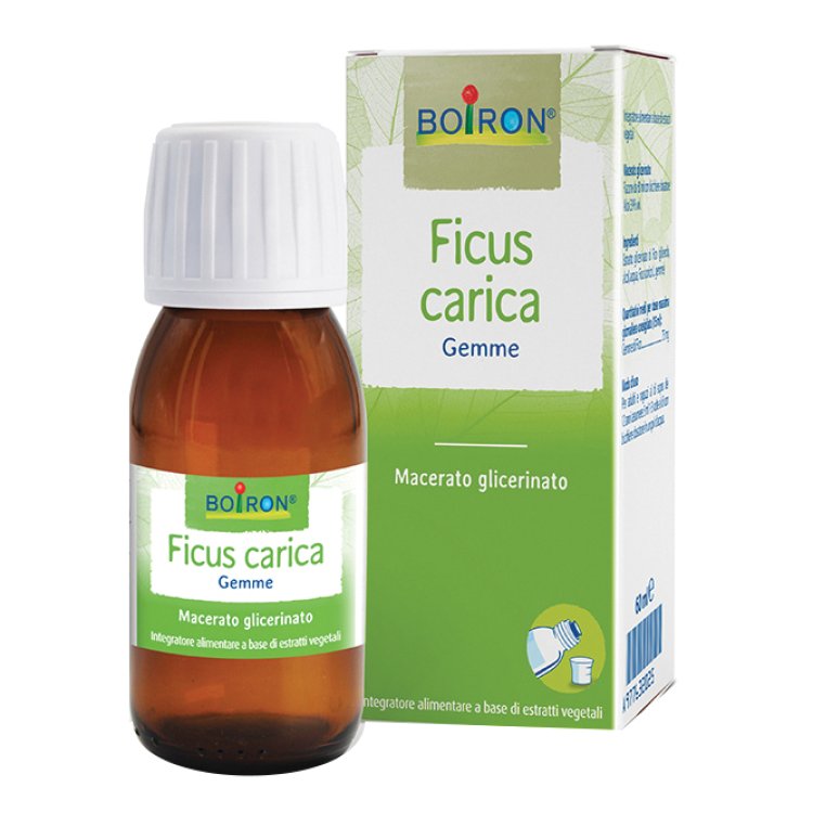 BO.FICUS CARICA MG 60ml