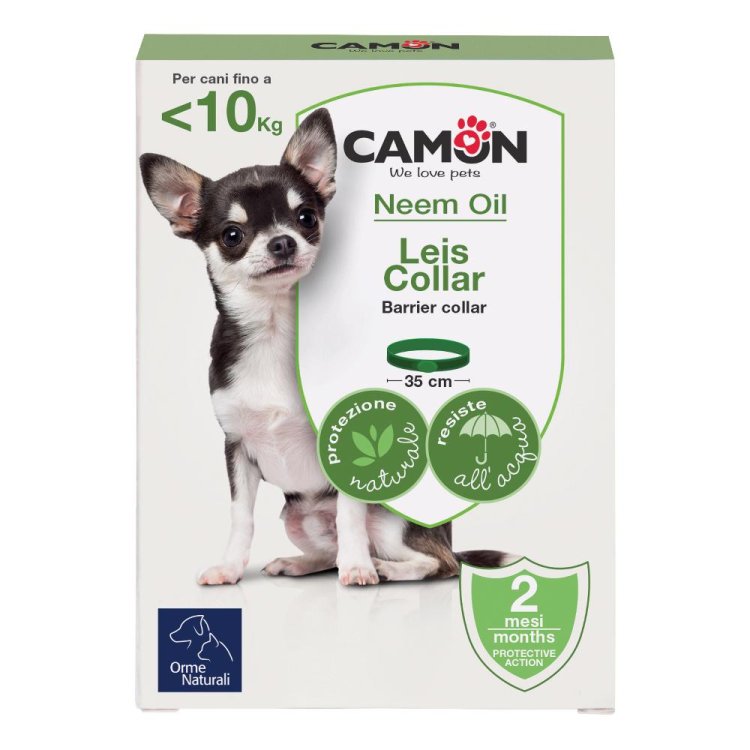 LEIS COLLARE BARRI CANE 35CM S LEIS COLLARE BARRI CANE 35CM S