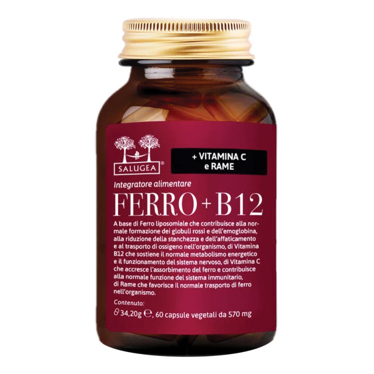 SALUGEA FERRO+B12 60 Cps