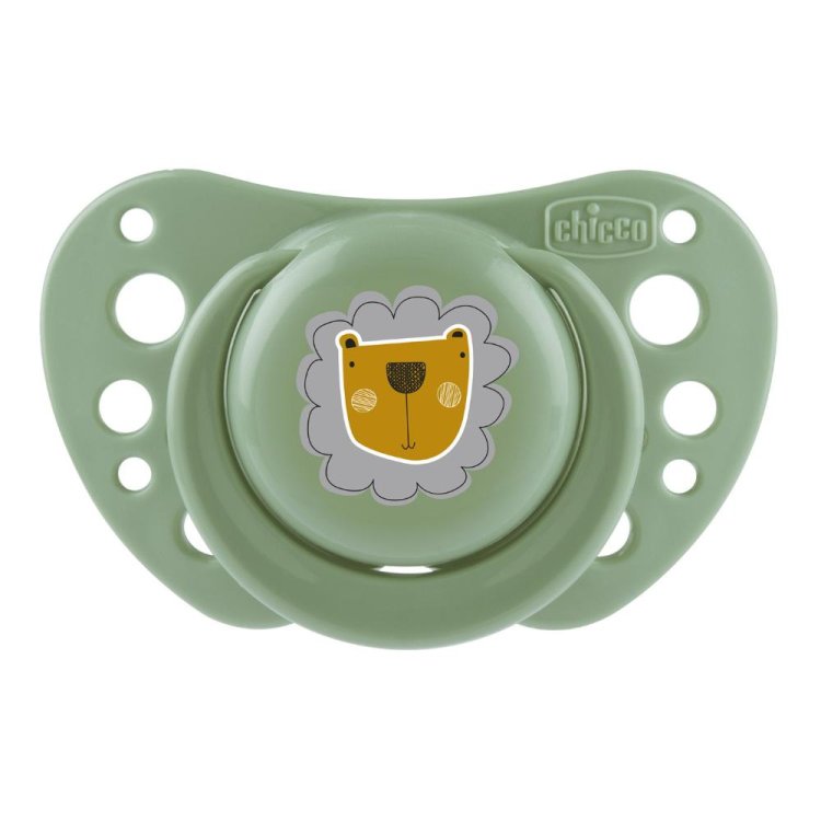 CH Succh.Air Sil.Verde2-6m+2pz