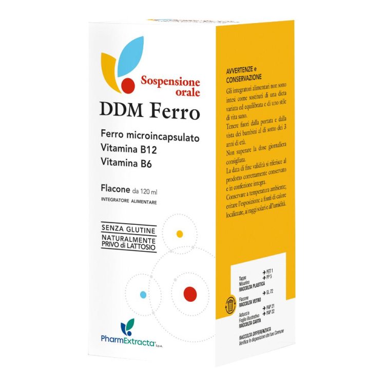 DDM Ferro Soluz.120ml