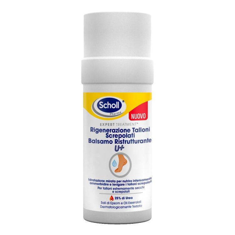 SCHOLL Balsamo Stk Tall.Screp.