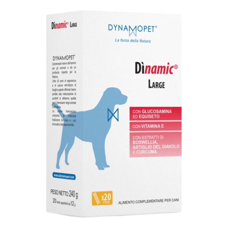 DINAMIC LARGE 20 Stick 12g