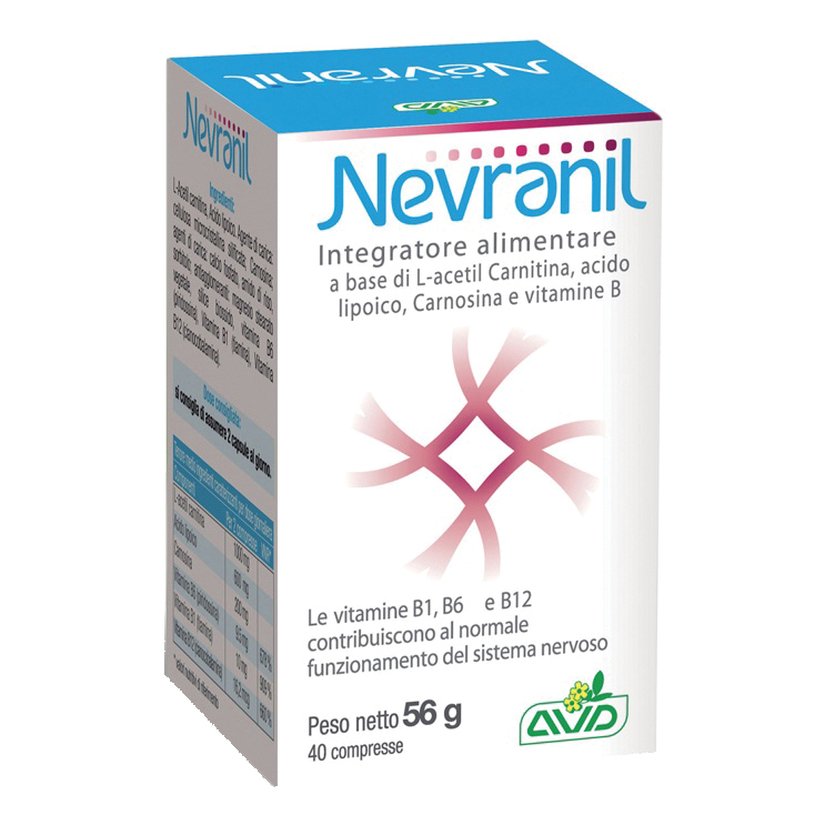 l carnitina e acetil l carnitina differenze Carnitina e Acetil Carnitina