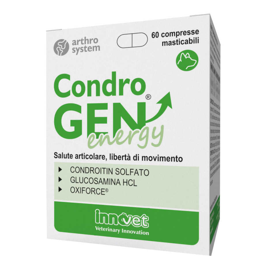 CONDROGEN Energy 90*Compresse